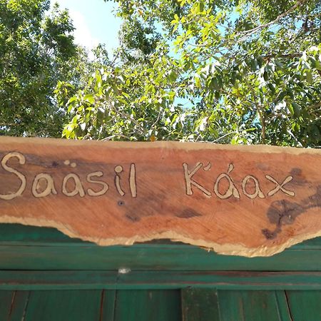 Saasil Kaax Villa Chemuyil Exterior photo